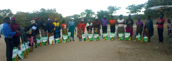 Some families in Zimbabwe